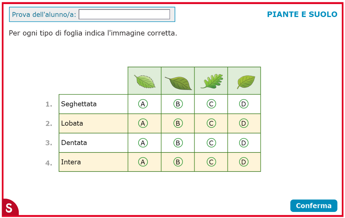 Verifiche Interattive